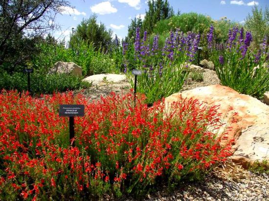 Montrose Botanic Gardens